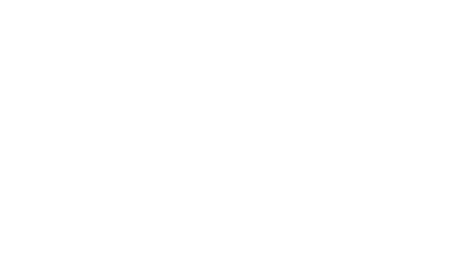 Virginia Water Services